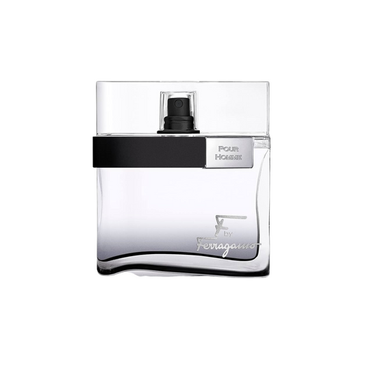 Ferragamo Black Pour Homme EDT 100ml