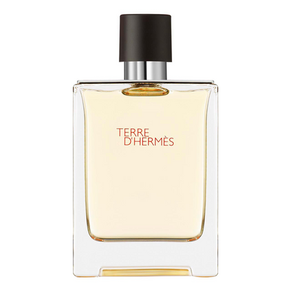 Terre D'Hermès EDT 100ml